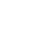 White globe icon