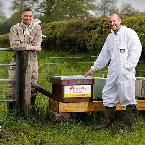 Two beekeepers standing next to a hive