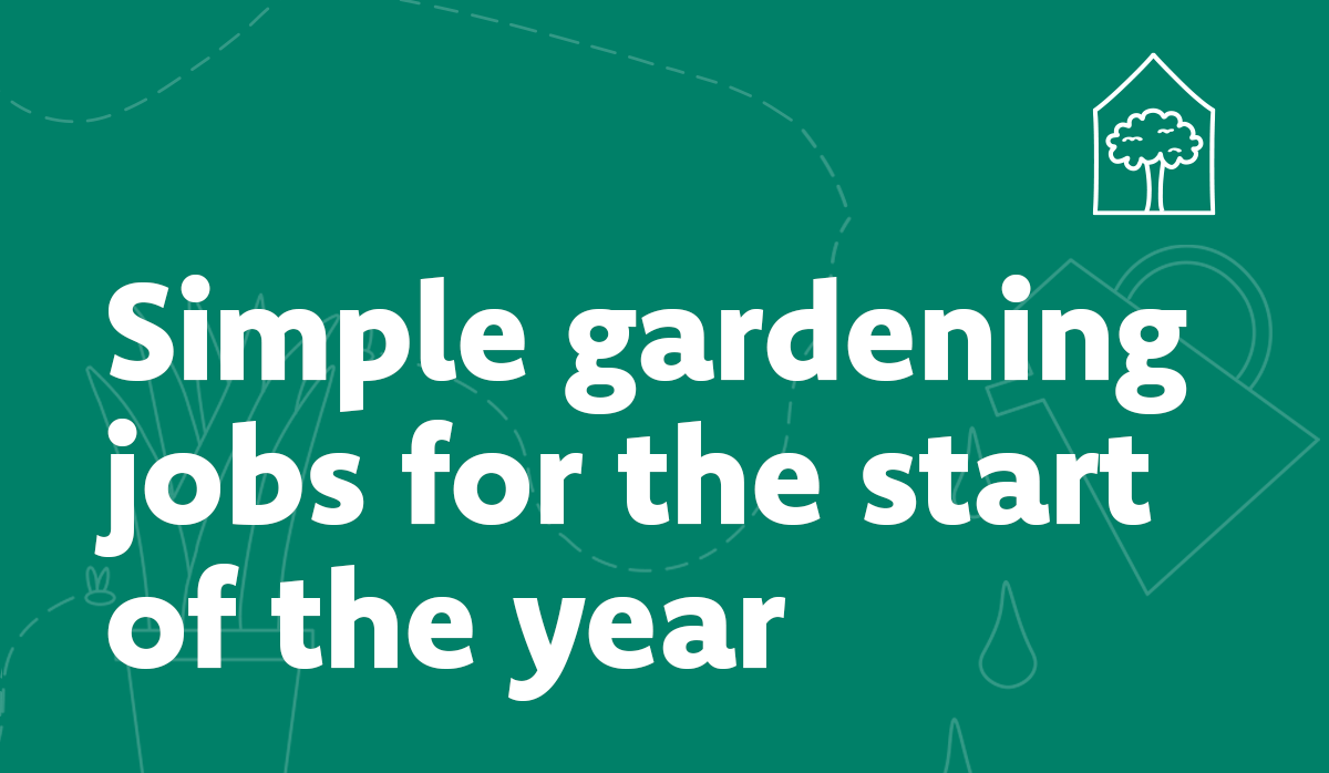 Simple gardening jobs for the start of the year