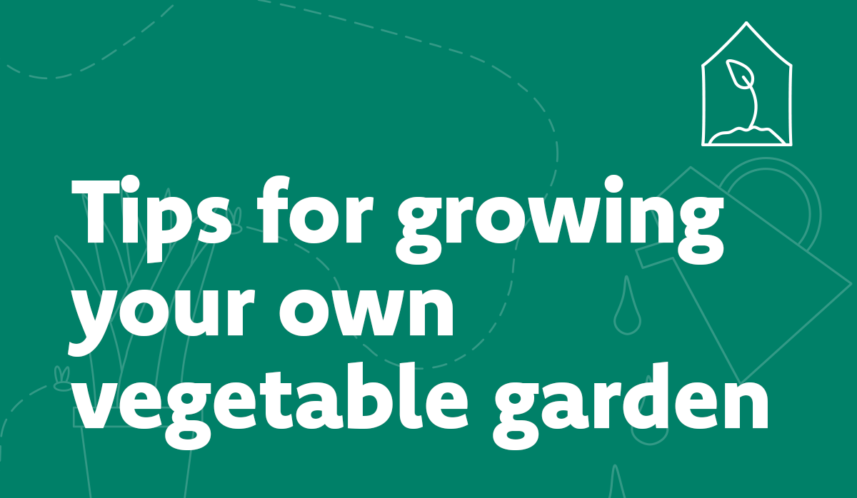 Tips for growing your own vegetable garden